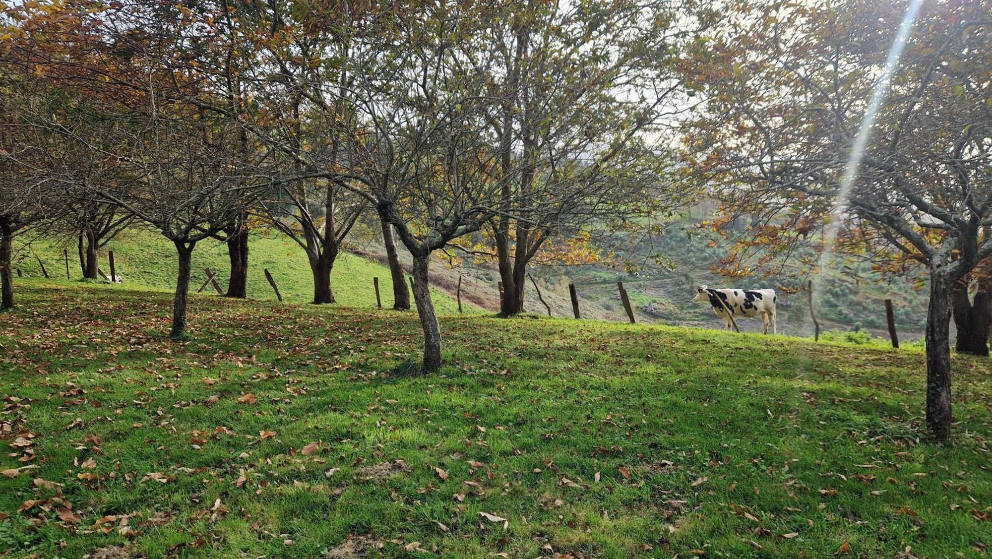 Casa Bezales En Ampuero Cantabria Esterno foto